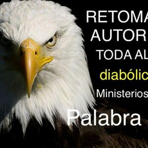 Meet your Posher, Danilo